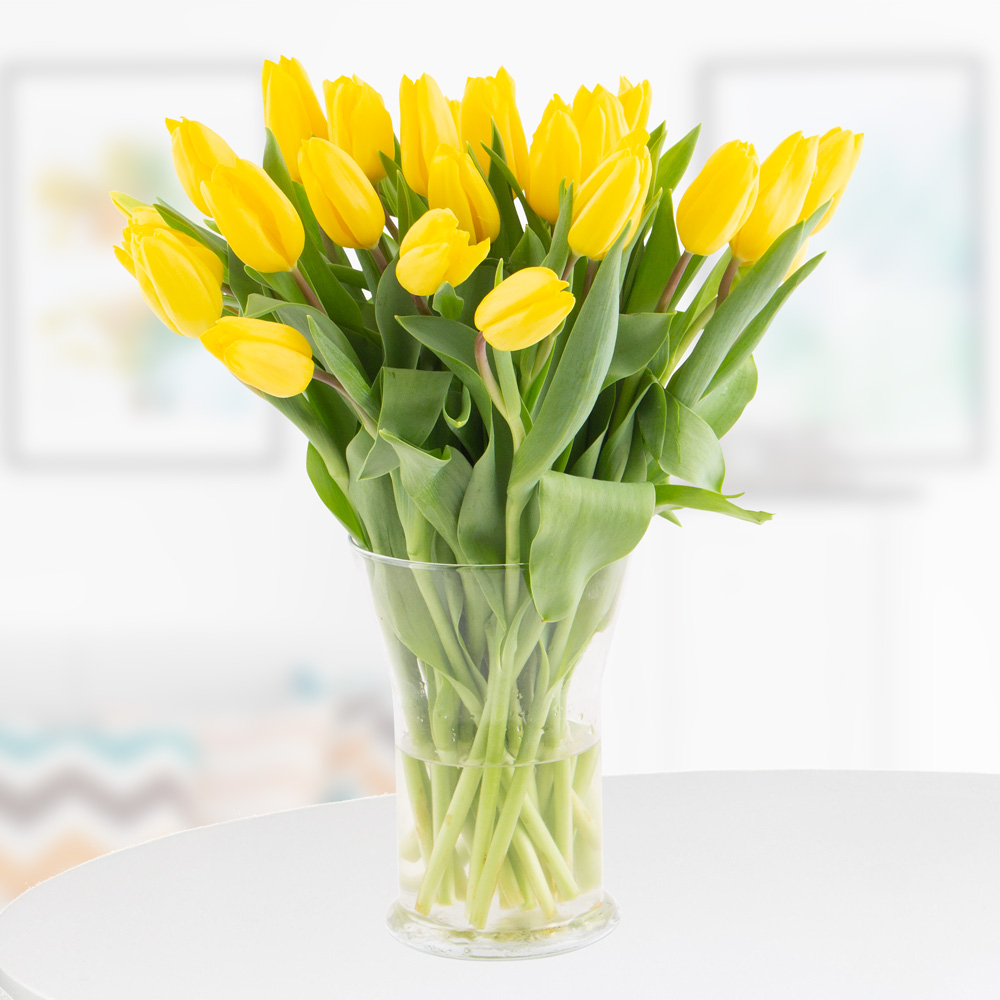 Yellow tulips on sale