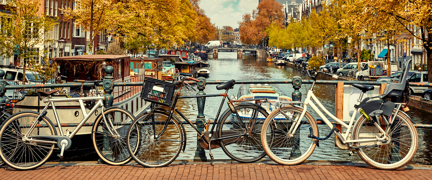 Flower delivery Netherlands