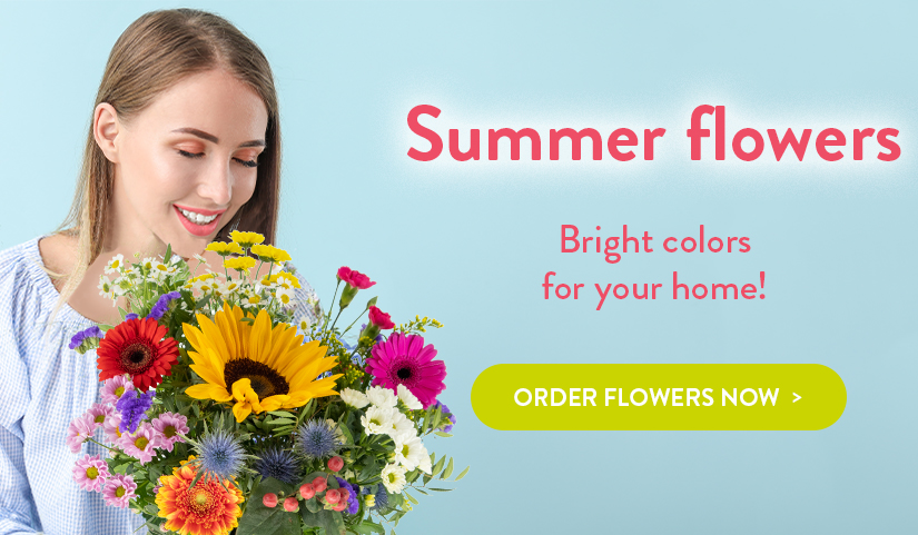 Order colorful summer flowers