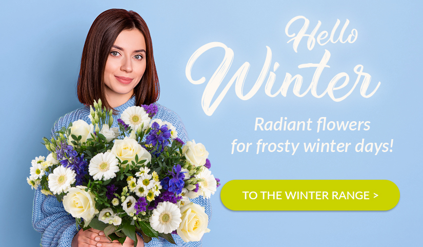 Send winter flowers